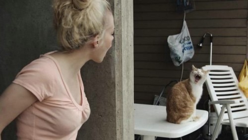 Не ори на меня!