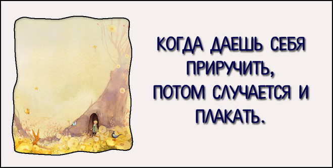 Маленький принц - 10 лучших цитат 