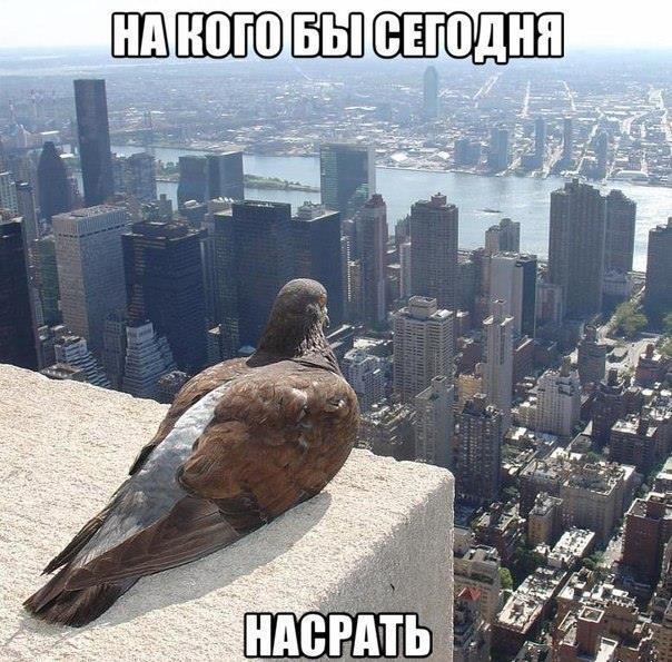 Кого бы сегодня осчастливить