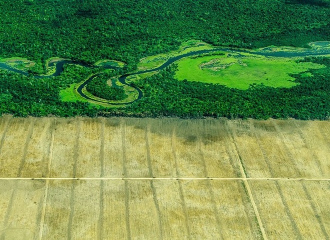 National Geographic опубликовал снимки природы для конкурса The Nature Photographer of The Year