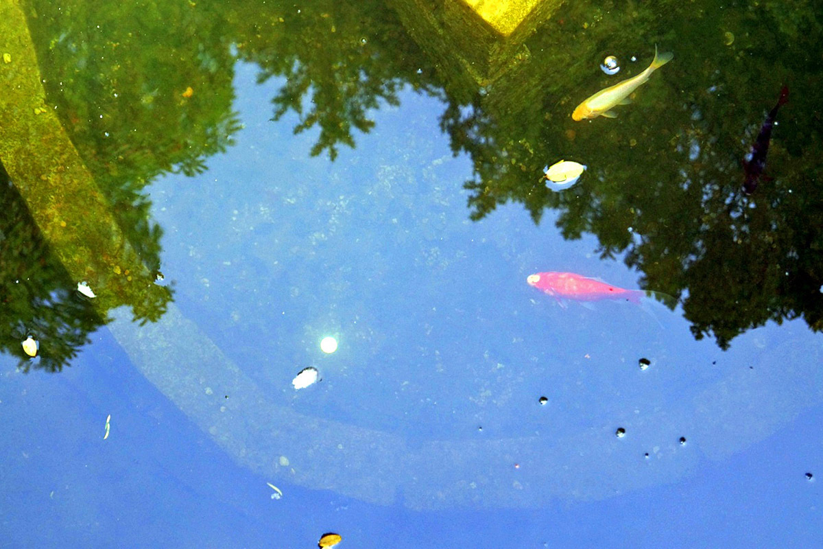 Село Castle Combe