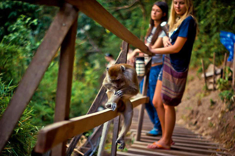Як здійснити кругосвітню подорож