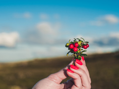Яке свято відзначають 5 вересня