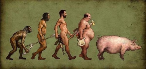Смешные картинки про эволюцию