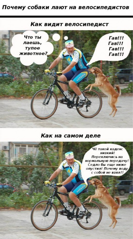 Прикол про велосипедиста