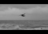 30 Seconds To Mars - Bright lights (Music Video)