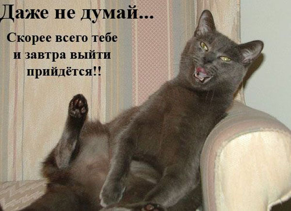 Операция "Пятница"