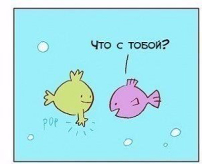 Комикс про эволюцию