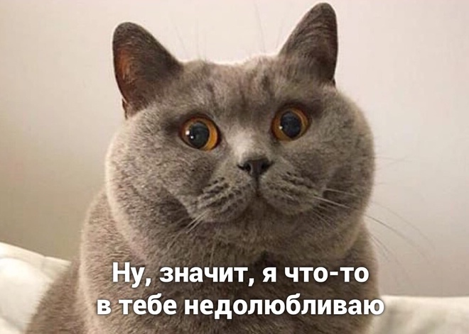 Килограммы и любовь