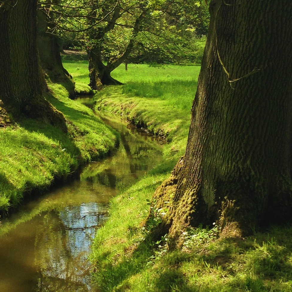 мобилография Артем Широков
