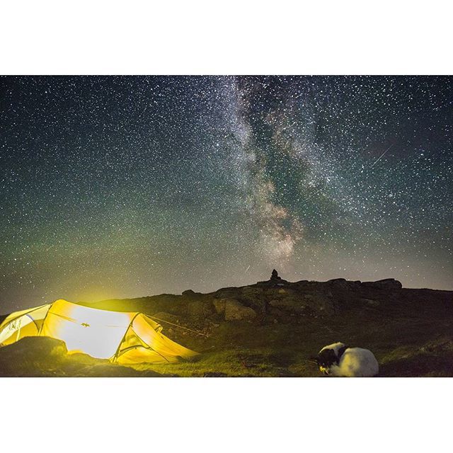 хаскі Акіак 