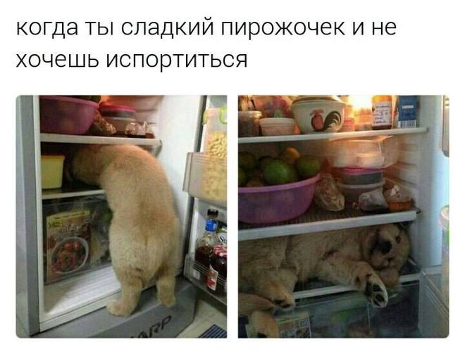 Жара подкралась незаметно