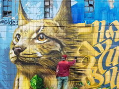 муралы Киева