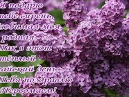 Пожелания на 1 мая