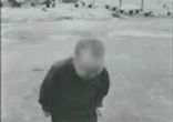 камел