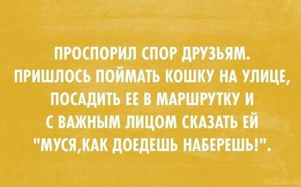 Картинки с текстом