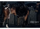 Alexander McQueen Autumn/Winter 2014 Campaign Alexander McQueen Autumn/Winter 2014 Campaign