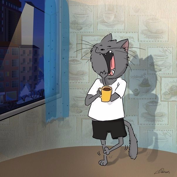 Зимнее утро, оно такое