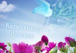 Капельница флажок