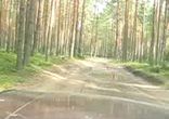 выхлоп форда мустанга.... 4.2 литра....    
