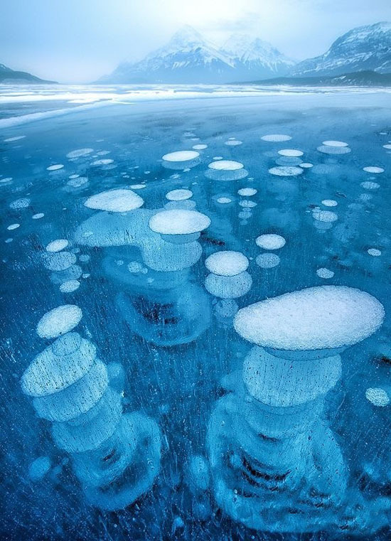 Завораживающие зрелище. Замерзшие пузырьки воздуха в озере