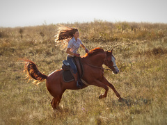 Яке свято відзначають 31 серпня