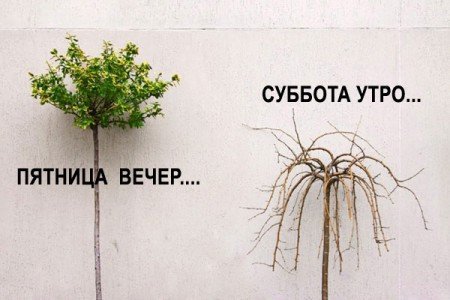Приколы про пятницу