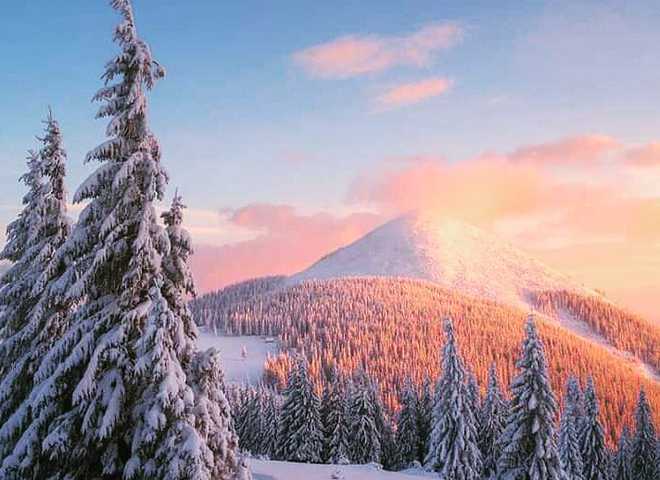 Карпати село
