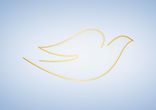 Истинная красота от Dove. Владислава