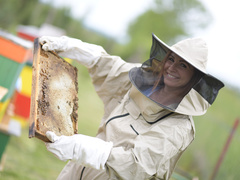 День пасічника