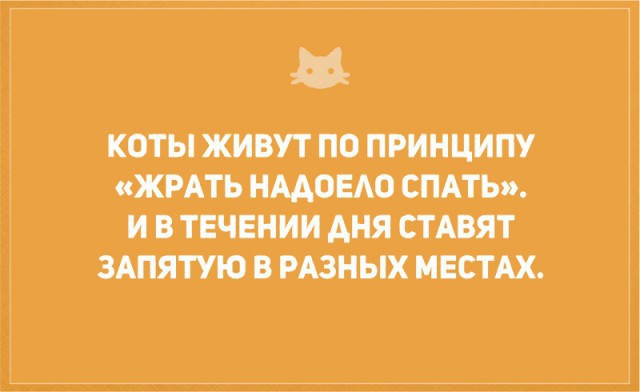 Без кота и жизнь не та