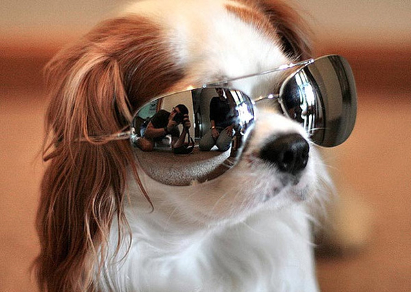 Няшки в очках