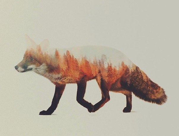 Животные и их среда обитания в одной картине от Андреас Ли