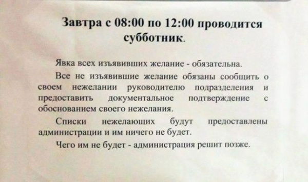 ТОП лучших объявлений