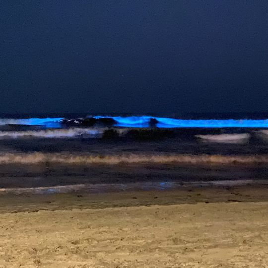 світіння океану