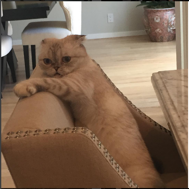 Тейлор Свифт