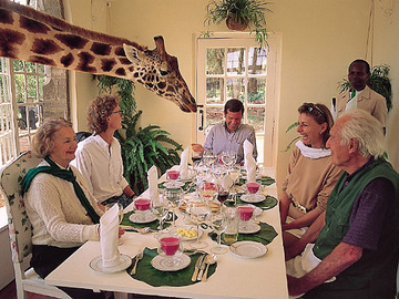 Необычный отель Поместье жирафа