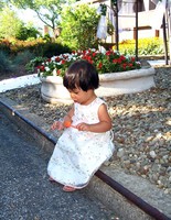 діти на весіллі діти на весіллі