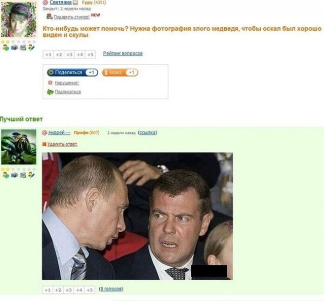 Прикол про медведя