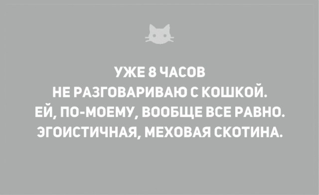 Без кота и жизнь не та