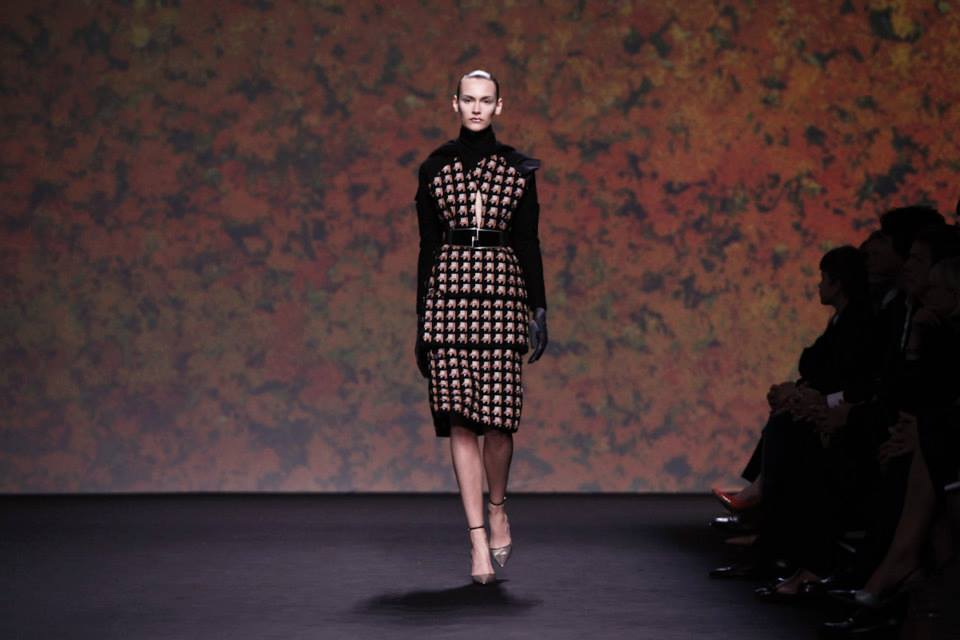 Dior Haute Coture Fall-Winter 2013-2014