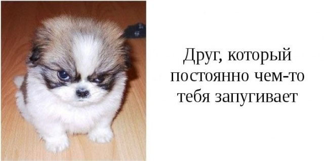 Категории друзей