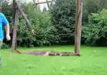 качелі