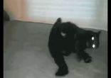 Настала Пятница!