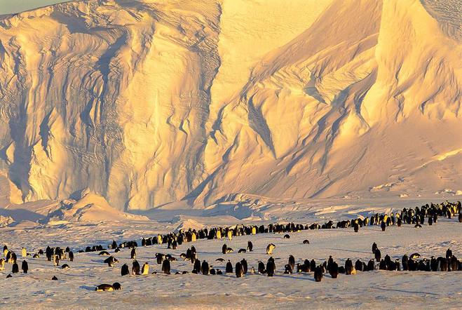 10 самых интересных фактов об Антарктиде