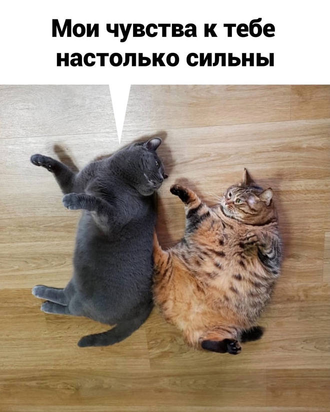 Сильные чувства