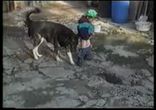 Писающий мальчик