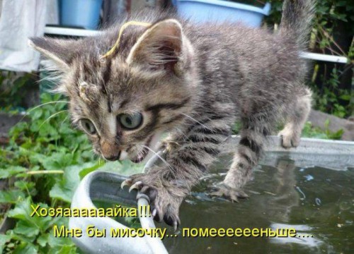 Прикольные котоматрицы