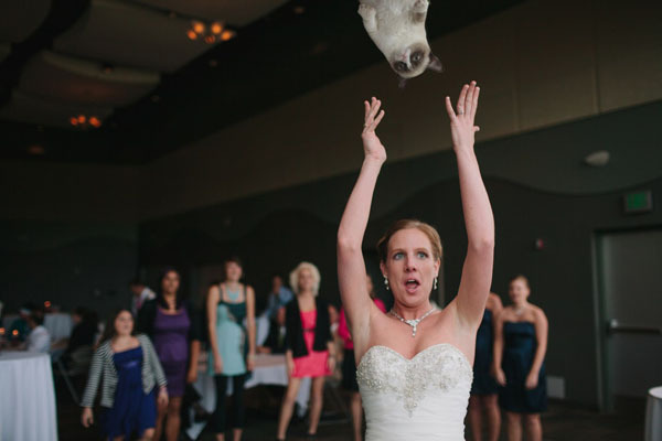 Новый хит интернета. Невесты бросают кошек