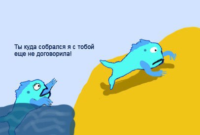 Женщины — причина эволюции